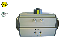 Pneumatisk aktuator (Type 5051/5053 SR)
